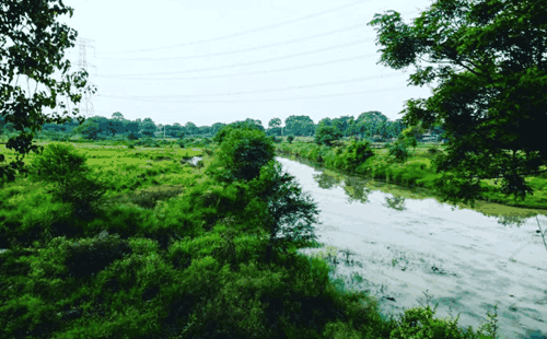 Bhadohi District, Uttar Pradesh