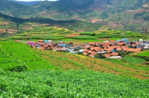 Kodaikanal, Dindigul District, Tamil Nadu