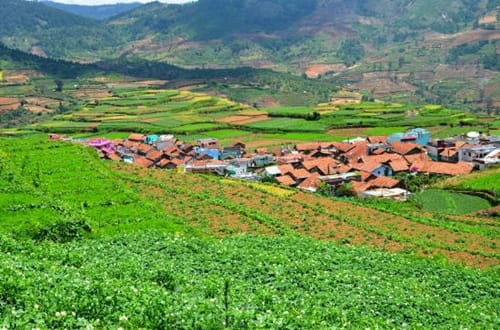 Kodaikanal, Dindigul District, Tamil Nadu