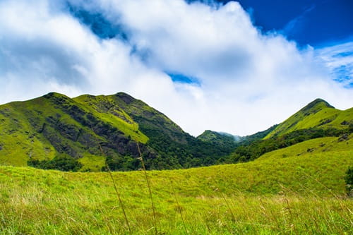 Wayanad District, Kerala